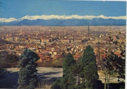 Torino - Panorama - 306 - Formato Grande Viaggiata - S - Mehransichten, Panoramakarten