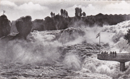 6266 - Rheinfall Mit Fischetz. - Altri & Non Classificati