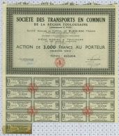 Sté Des Transports En Commun De La Région Toulousaine - Automobilismo