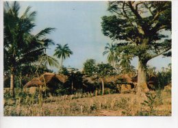 REF 159 : CPSM TOGO Village De Siou 2 Scans - Togo