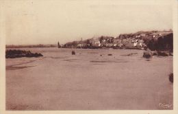 Cp , 49 , MONTSOREAU , Vue Générale Sur Le Pont - Other & Unclassified