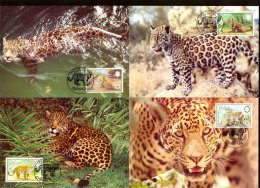 Nga007mb WWF FAUNA ZOOGDIEREN WILDE KAT CAT JAGUAR MAMMALS BELIZE 1983 MAX - Maximum Cards