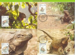 Mpk162mb WWF LEGUAAN IGUANA Anegada Ground Iguana, REPTIEL REPTILE BRITISH VIRGIN ISLANDS 1994 MAX - Maximum Cards