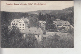 6572 RHAUNEN - ASBACH, Anstalten-Kolonie "Asbacher Hütte" - Birkenfeld (Nahe)