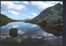 F1464 Lago Bianco, Passo Del Bernina - Die Kraftwerke Brusio AG Wollen Den Lago Bianco Vergrossern - Ed. SGS - Brusio