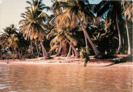 CPSM République Dominicaine-Samana-Playa De Las Terrenas    L1478 - Dominikanische Rep.