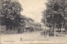 CAUSSADE     COUR DU JARDIN PUBLIC - Caussade