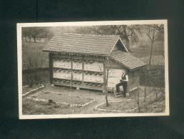 Suisse AG - Carte Photo Apiculteur à SULZ Laufenburg  Merki Imker Honig Bienenhaus Miel Apiculture Rucher Ruche - Laufenburg 