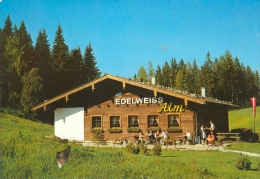 AK Salzburg Schutzhütte Berghütte Edelweiß-Alm Wagrain Hütte Österreich Alpen Schutzhaus Alp Gebirge Austria Autriche - Wagrain