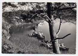 29 - LANDEVENNEC - Les Bateaux De Guerre Au Repos - Bord Dentelé - Excellent état - Landévennec