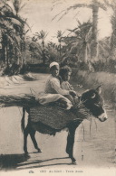 ETHNIQUES ET CULTURES - AFRIQUE DU NORD - Au Bled - Trois Amis (enfants Et âne) - Ohne Zuordnung