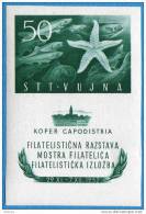 1952  84-BF- 3  TRIESTE B JUGOSLAVIJA SLOVENIJA ITALIA FLORA AND FAUNA IN SEA SOUVENIR SHEET NEVER HINGED - Mint/hinged