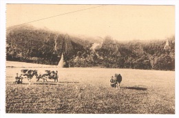 B4562    COMBLAIN-AU-PONT : Hotel Des Glycines - Promenade Des Rochers Noires - Comblain-au-Pont