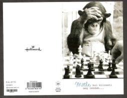 Chess Schach Echecs Ajedrez Double Card "Monkey Playing Chess" 2010 Estonia - Echecs