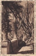 Monaco  -  Les Jardins Exotiques.   .  S-379 - Giardino Esotico