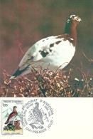PRINCIPAUTE D'ANDORRE - Nature Perdrix Blanche 1979 - Timbre Jour D'émission - Used Stamps