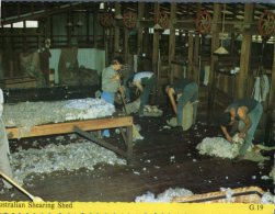 (512) Australia - Shearing Shed - Outback