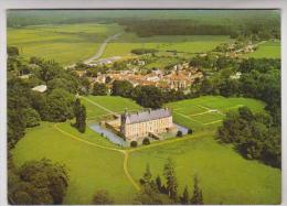 CPM DPT 77 LESIGNY, VUE AERIENNE, LE CHATEAU - Lesigny