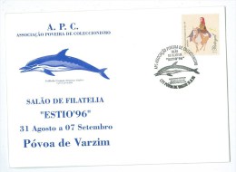 Portugal - Common Dolphin -  Protected Species - Estio 96 APC - Póvoa De Varzim - Delfines