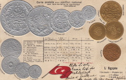 Alexandrie 5.7.1907 / Pavillons National / Oblit. B Asel 10.VII.1907. L´Egypte Carte En Relief - Alexandrie