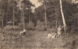 Delcampe - BRUNOY - Forêt De SÉNART - La Mare Aux Nénuphars (animation) - Brunoy