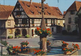 DAMBACH-LA-VILLE Fontaine Fleurie - 2 Scans - Dambach-la-ville