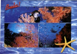 (915) Fiji Islands - Ile De Fidji - Diving - Fiji