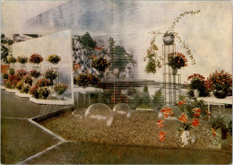 AK Erfurt, 1. Iga-Gartenbauausstellung, Rosenschau, Ung, 1961 - Erfurt