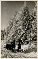 AK Der Harz Im Winter Stempel Bad Harzburg, Gel 1957 - Bad Harzburg