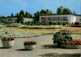 AK Erfurt, Iga, Große Blumenwiese Mit Ausstellungshallen, 1974 - Erfurt