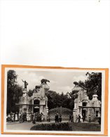 Carl Hagenbecks Tierpark Altona Stellingen Hamburg 1920 Postcard - Altona