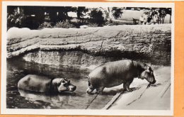 Carl Hagenbecks Tierpark Altona Stellingen Hamburg 1920 Postcard - Altona