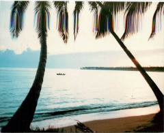 CPSM Isla De Santo Domingo-Samana-Playa De Las Terrenas   L1479 - Dominicaine (République)