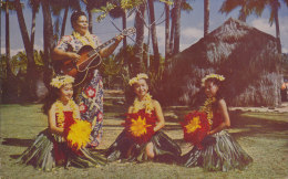 HONOLULU /  HULA DANCERS    //////  REF  2013 / DEC 446 - Honolulu