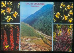 CPM  88  COL DE BUSSANG Et Fleurs Vosgiennes - Col De Bussang