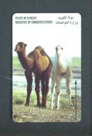 KUWAIT  - Magnetic Phonecard/Baby Camels As Scan - Kuwait