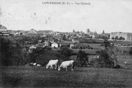 65 Lannemezan  Vue Generale Animée Vaches - Lannemezan