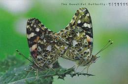 Insect - Butterfly - Painted Lady [Cynthia Cardui (Linnaeus)], Korea's Postcard - Insectes