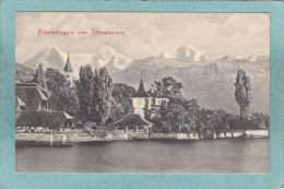 HILTERFINGEN  AM  THUNERSEE   -  TRES BELLE CARTE  - - Hilterfingen