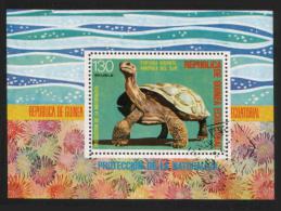 Äquatorial Guinea / Equatorial Guinea - Block 273 Gestempelt / Used (n1085) - Schildpadden