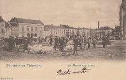 TIRLEMONT/TIENEN : Marché Aux Porcs / Varkensmarkt (Z68) - Tienen