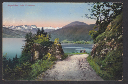 SWITZERLAND - Ägerisee Or Lake Aegeri, Year 1919 - Sonstige & Ohne Zuordnung