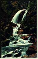Ravenna-Wasserfall Im Höllental / Schwarzwald -  Ansichtskarte Ca.1930    ( 2602 ) - Hinterzarten