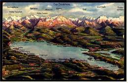 Panoramakarte  -  Bodensee  Reliefoptik  -  Blick Auf Die Alpen  -  Ansichtskarte Ca.1910   (2601) - Friedrichshafen