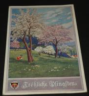Ansichtskarte Baum Blühend  Pfingsten Deutscher Schul Verein   Gelaufen 1913  #AK4958 - Pentecôte