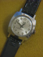 NICE PHILLY SHOCKPROTECTED WATERRESISTANT SWISS LADIES WATCH ~ 17 JEWELS - Other & Unclassified