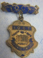 XIX Cent. IOGT Juvenile Templars Masonic Medal Jewel - Vrijmetselarij