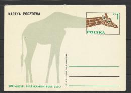 Pologne Poland Polen EP 158 Girafe Giraffe Jirafa - Giraffes