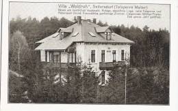 Seifersdorf Dippoldiswalde Villa Waldruh Ungelaufen - Dippoldiswalde