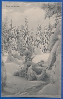 Deutschland; Harz Im Winter; 1907 Stempel Hotel Schierke - Schierke